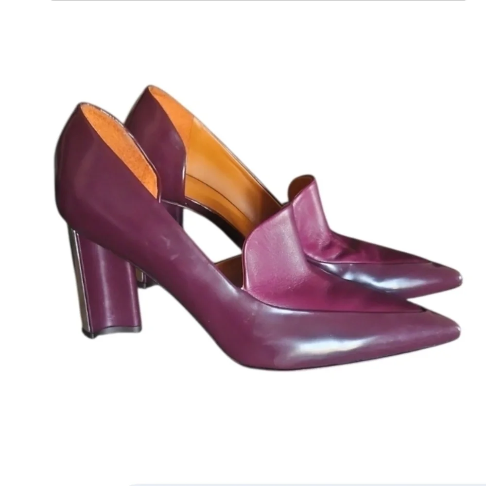 CLERGERIE | Kalliste Leather Pointed Toe Pumps in Plum ~ Size EU 40 / US 10